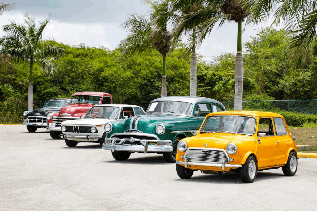 Lineup of vintage cars parked outdoors, showcasing collectible classic cars as investment opportunities